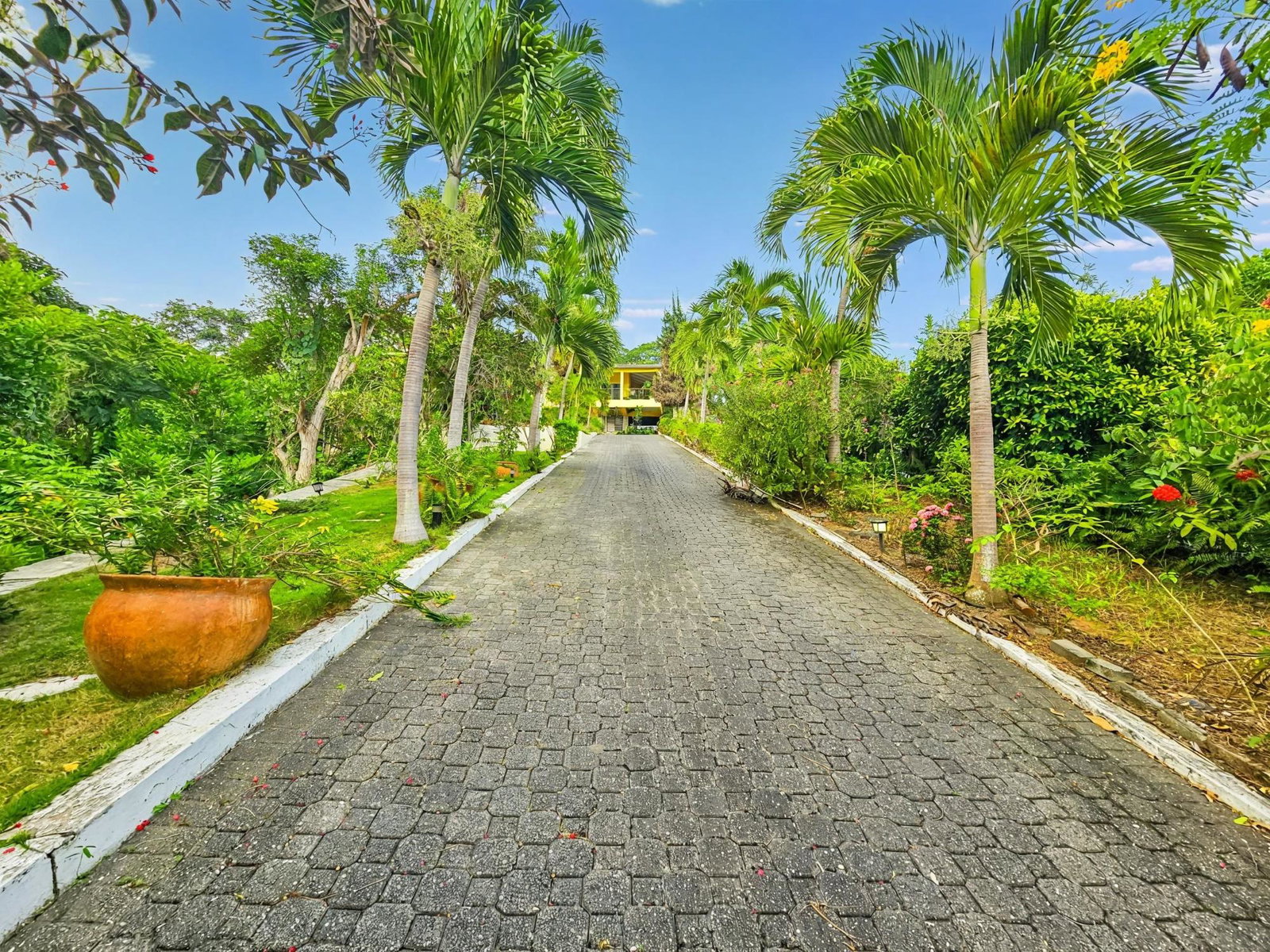 Luxury-Estate-for-Sale-in-St.-Andrew-Jamaica-11-Mulberry-Avenue First image of 11 Mulberry Avenue in Kingston 6, St. Andrew, Jamaica - property is For Sale