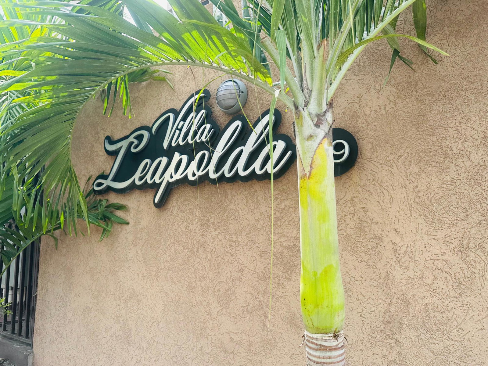 Second image of 9 Liguanea Ave in Kingston 6, St. Andrew, Jamaica - property is For Rent