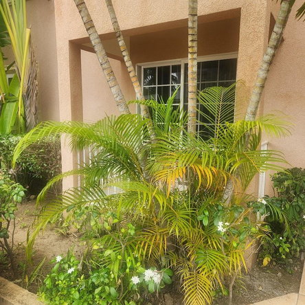 Second image of 3-81 Shortwood Road in Constant Spring P.O., St. Andrew, Jamaica - property is For Rent