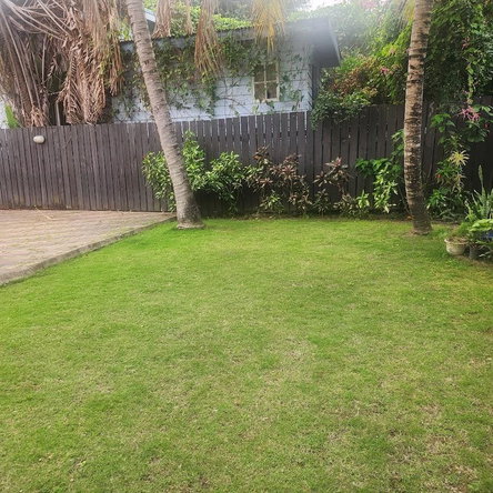 Fourteenth image of 3-81 Shortwood Road in Constant Spring P.O., St. Andrew, Jamaica - property is For Rent