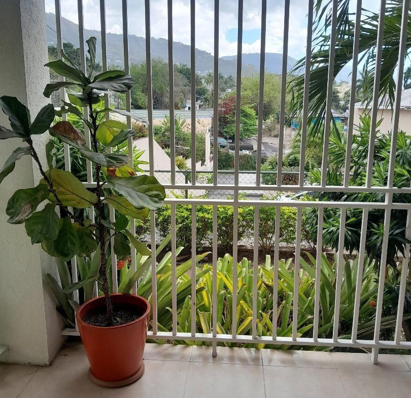 Sixteenth image of 13b-5 Graham Heights in Kingston 8, St. Andrew, Jamaica - property is For Sale