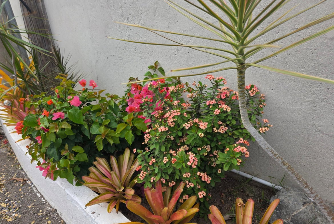 Fifth image of 2- 3 Broadway Road in Kingston 8, St. Andrew, Jamaica - property is For Rent