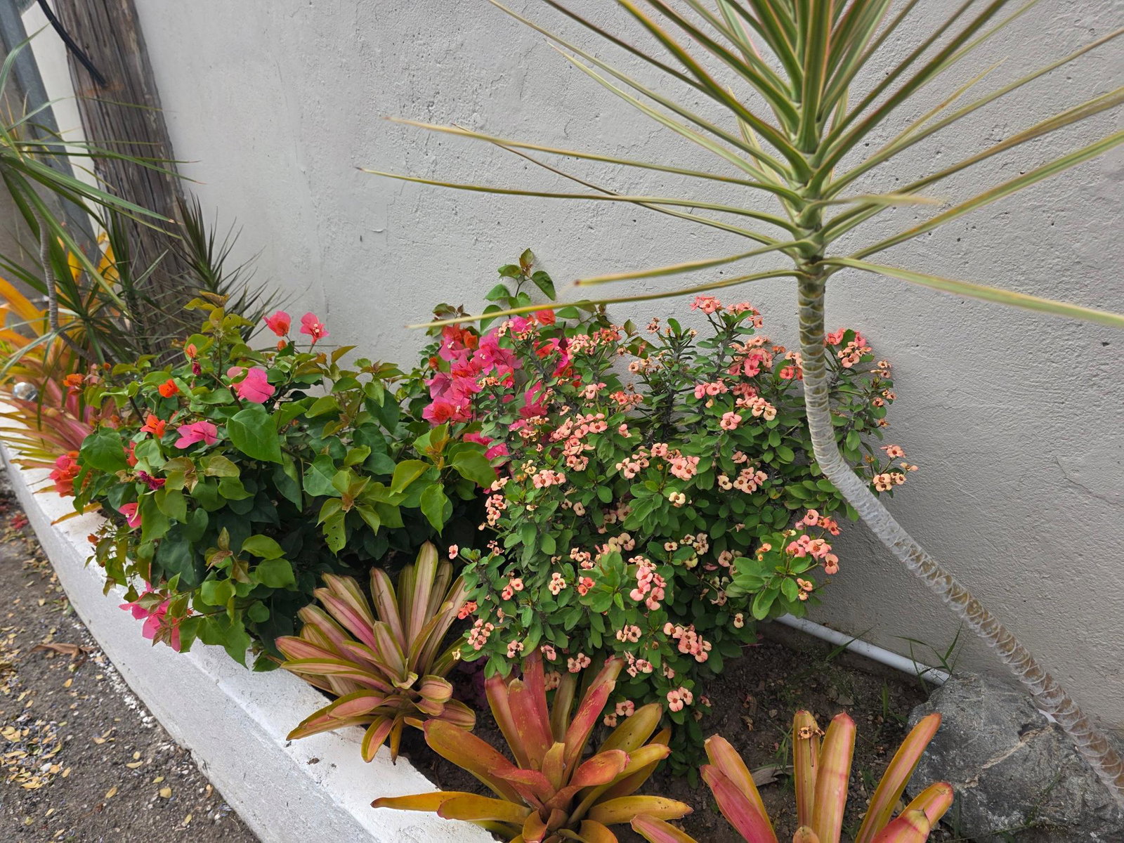 Fifth image of 2- 3 Broadway Road in Kingston 8, St. Andrew, Jamaica - property is For Rent