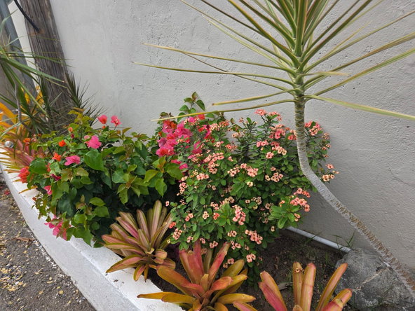Fifth image of 2- 3 Broadway Road in Kingston 8, St. Andrew, Jamaica - property is For Rent