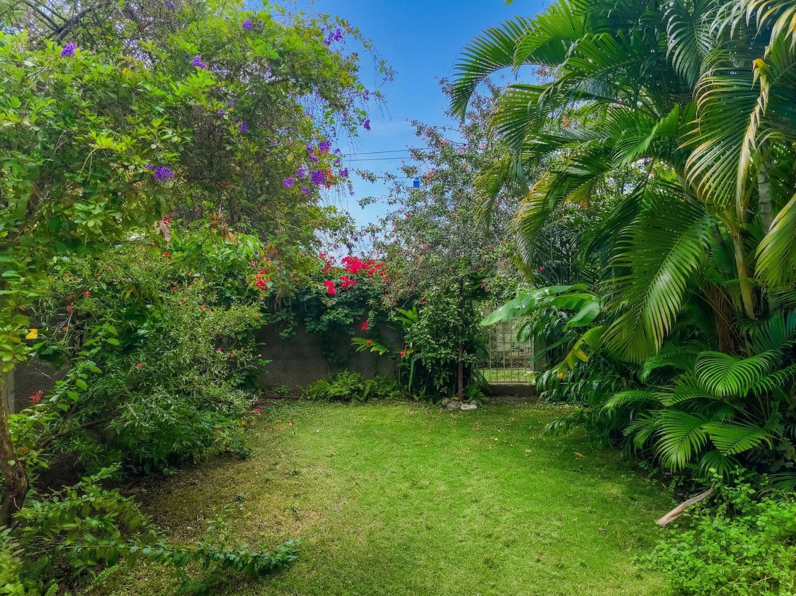 Twelfth image of 3-107 Hope Road in Kingston 6, St. Andrew, Jamaica - property is For Rent