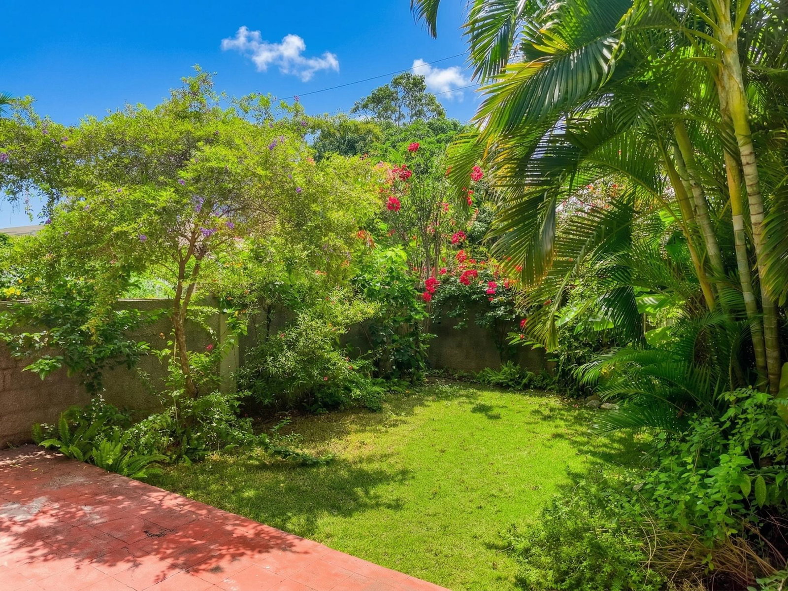 Thirteenth image of 3-107 Hope Road in Kingston 6, St. Andrew, Jamaica - property is For Rent