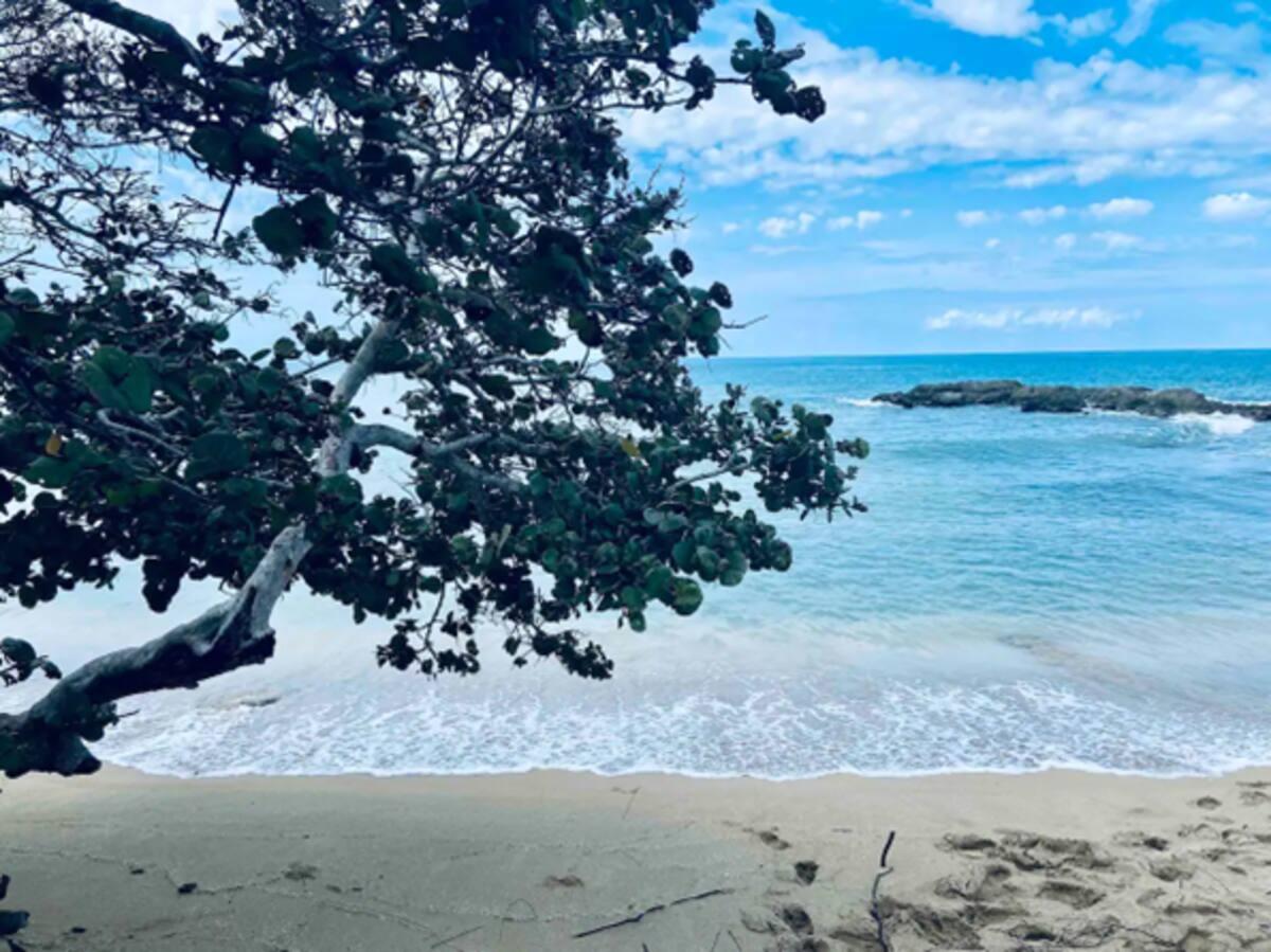 Third image of 235 Oceanpointe in Lucea, Hanover, Jamaica - property is For Sale