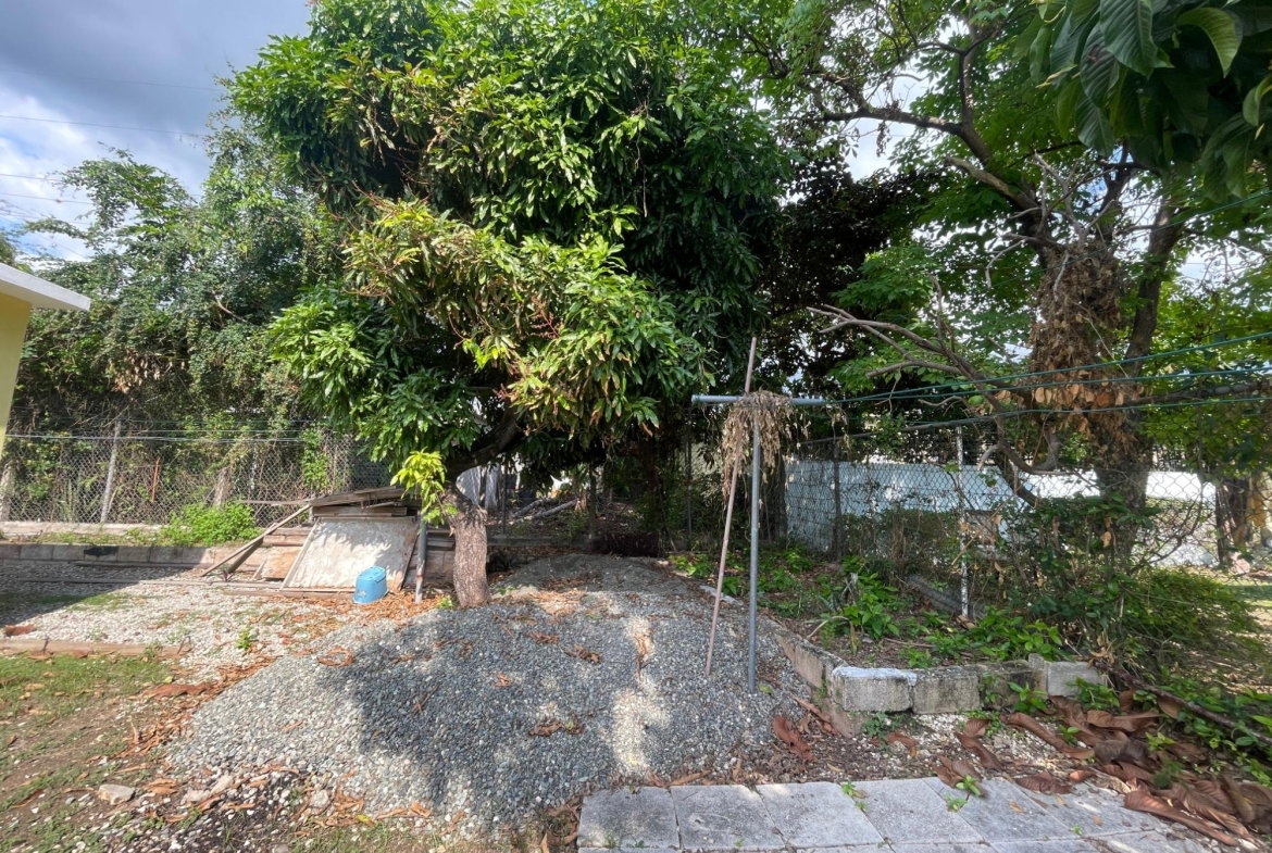 Seventeenth image of 16 Palmoral Avenue in Kingston 6, St. Andrew, Jamaica - property is For Sale