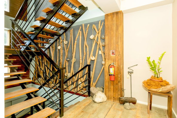 Second image of 58 Old Hope Road in Kingston 5, St. Andrew, Jamaica - property is For Rent