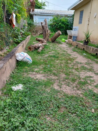 Eighteenth image of 26 Gardenia Avenue, Mona in Kingston 6, St. Andrew, Jamaica - property is For Sale