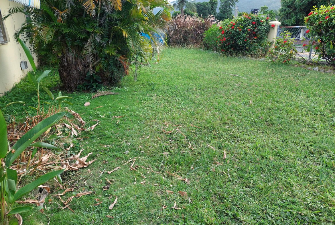 Third image of 26 Gardenia Avenue, Mona in Kingston 6, St. Andrew, Jamaica - property is For Sale