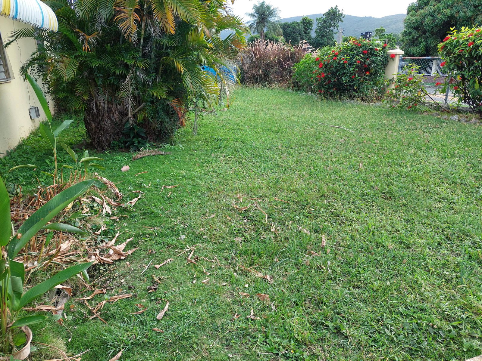 Third image of 26 Gardenia Avenue, Mona in Kingston 6, St. Andrew, Jamaica - property is For Sale