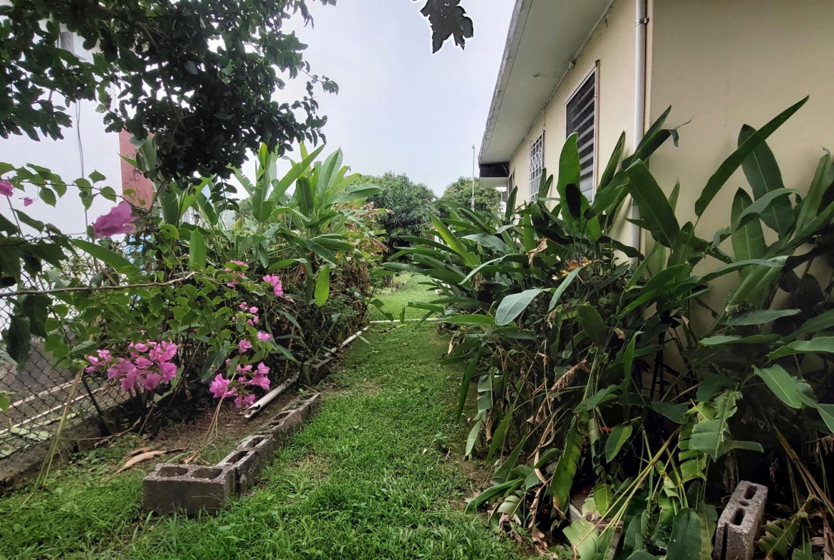 Twenty-Third image of 26 Gardenia Avenue, Mona in Kingston 6, St. Andrew, Jamaica - property is For Sale