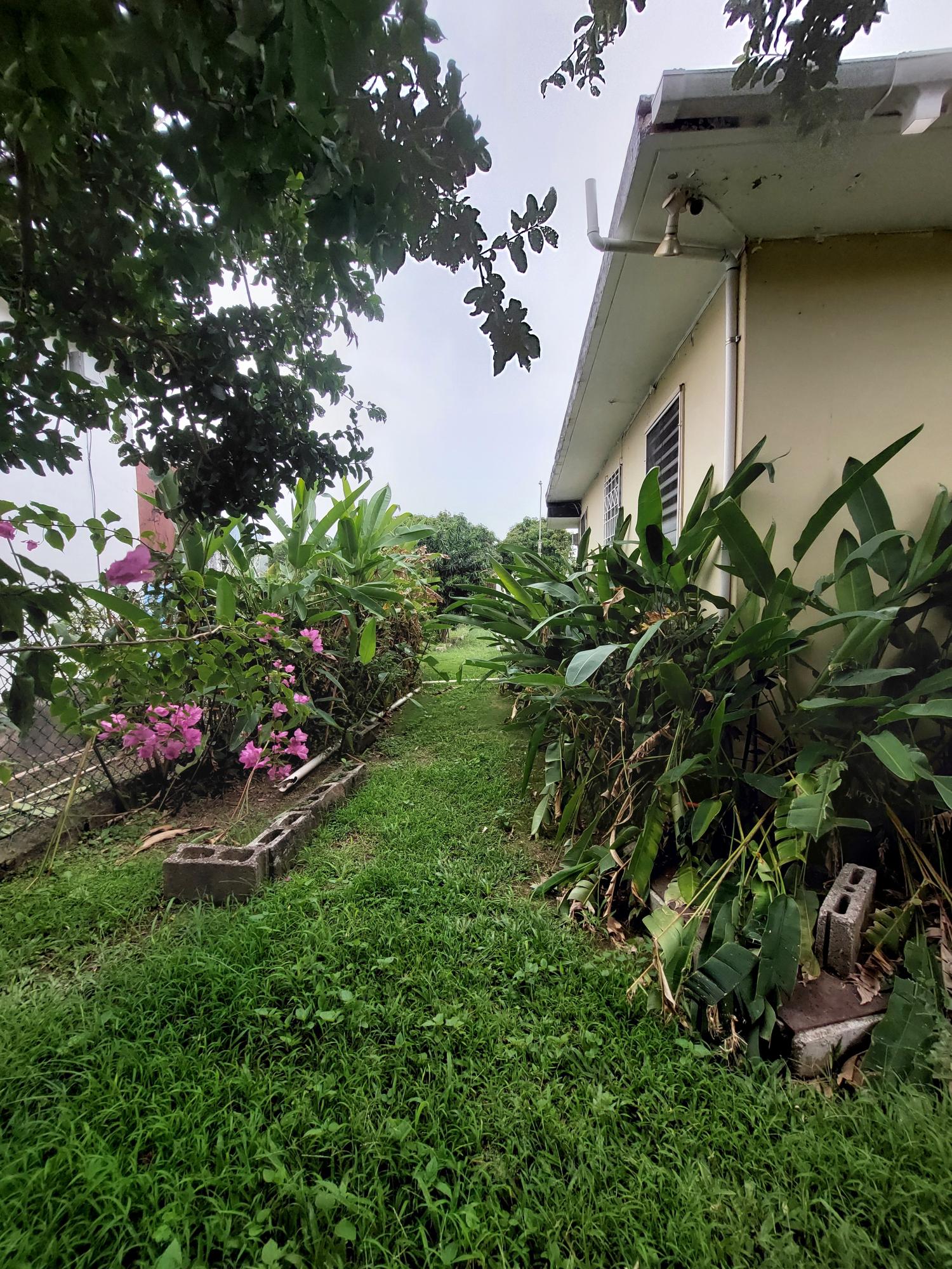 Twenty-Third image of 26 Gardenia Avenue, Mona in Kingston 6, St. Andrew, Jamaica - property is For Sale