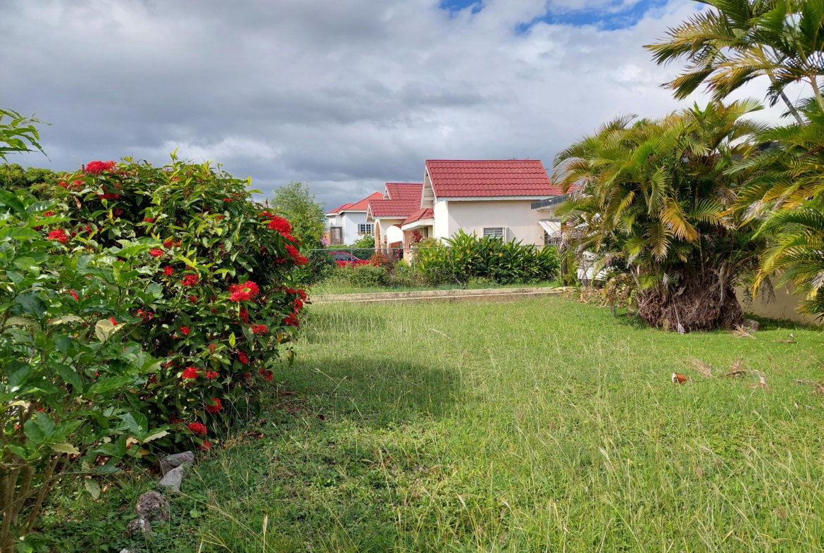 Twenty-Fourth image of 26 Gardenia Avenue, Mona in Kingston 6, St. Andrew, Jamaica - property is For Sale