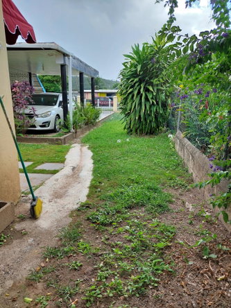 Twenty-Sixth image of 26 Gardenia Avenue, Mona in Kingston 6, St. Andrew, Jamaica - property is For Sale