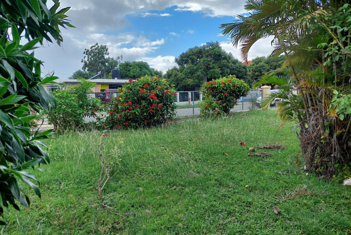 Twenty-Seventh image of 26 Gardenia Avenue, Mona in Kingston 6, St. Andrew, Jamaica - property is For Sale