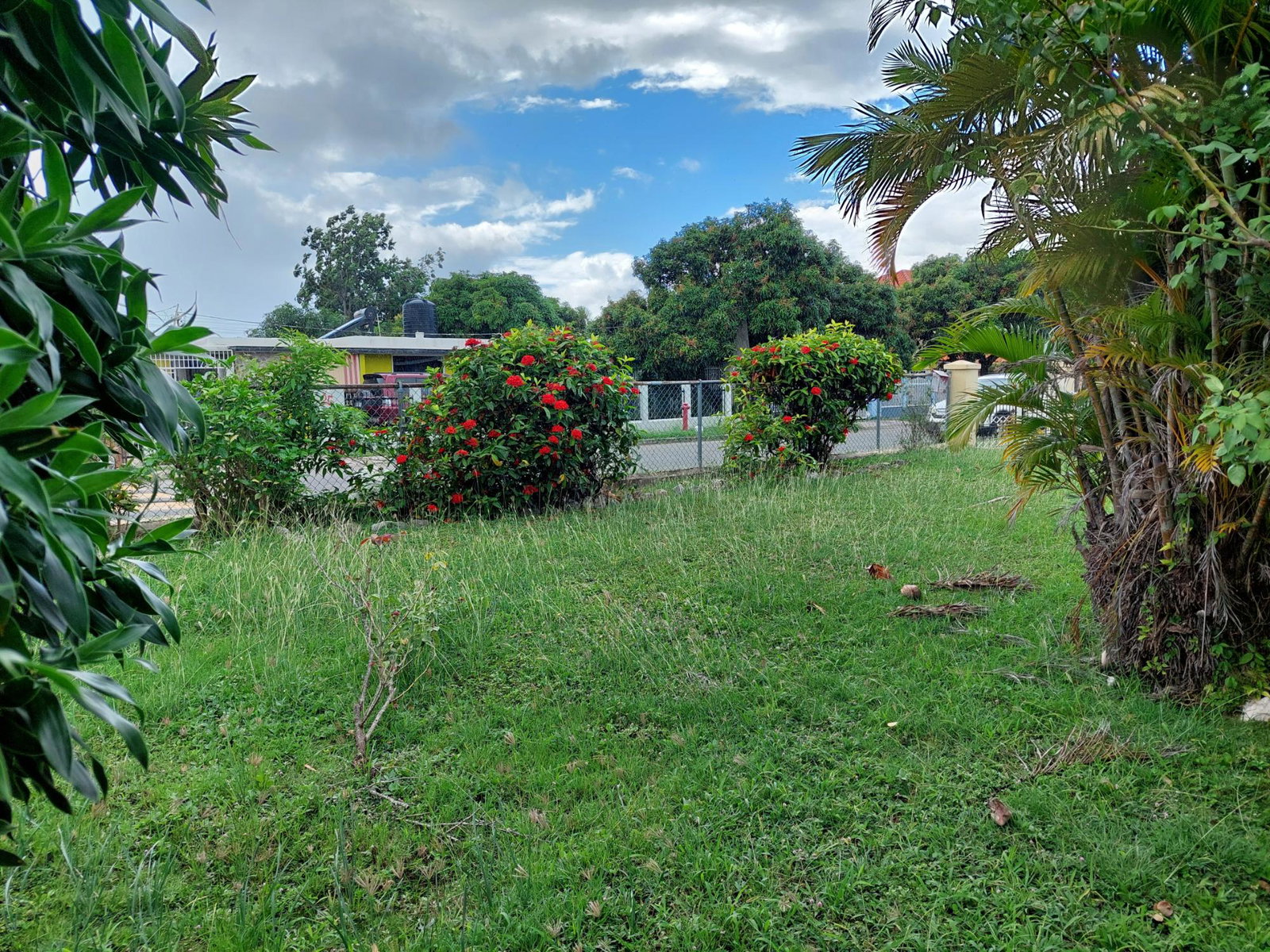 Twenty-Seventh image of 26 Gardenia Avenue, Mona in Kingston 6, St. Andrew, Jamaica - property is For Sale