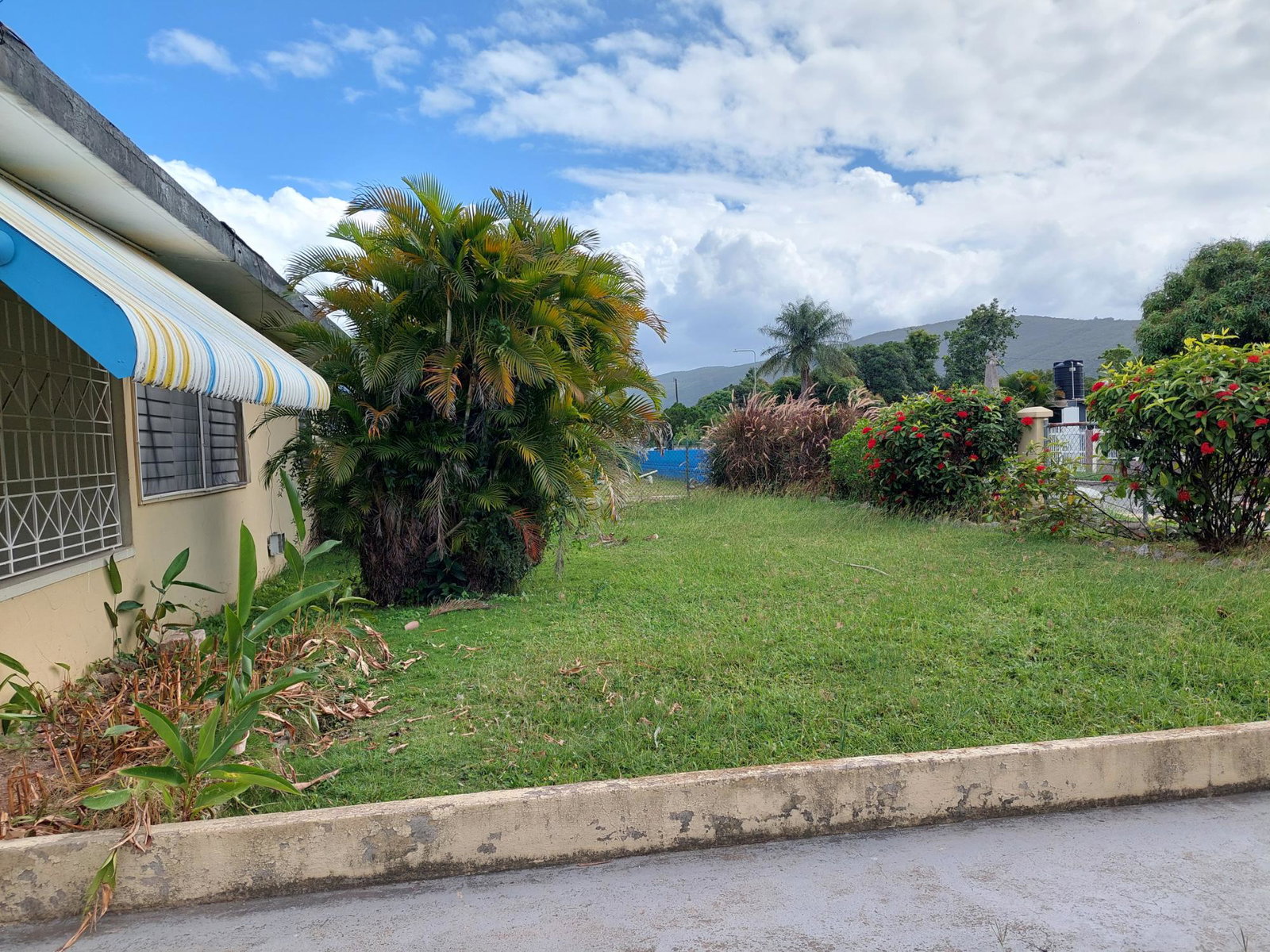 Fourth image of 26 Gardenia Avenue, Mona in Kingston 6, St. Andrew, Jamaica - property is For Sale