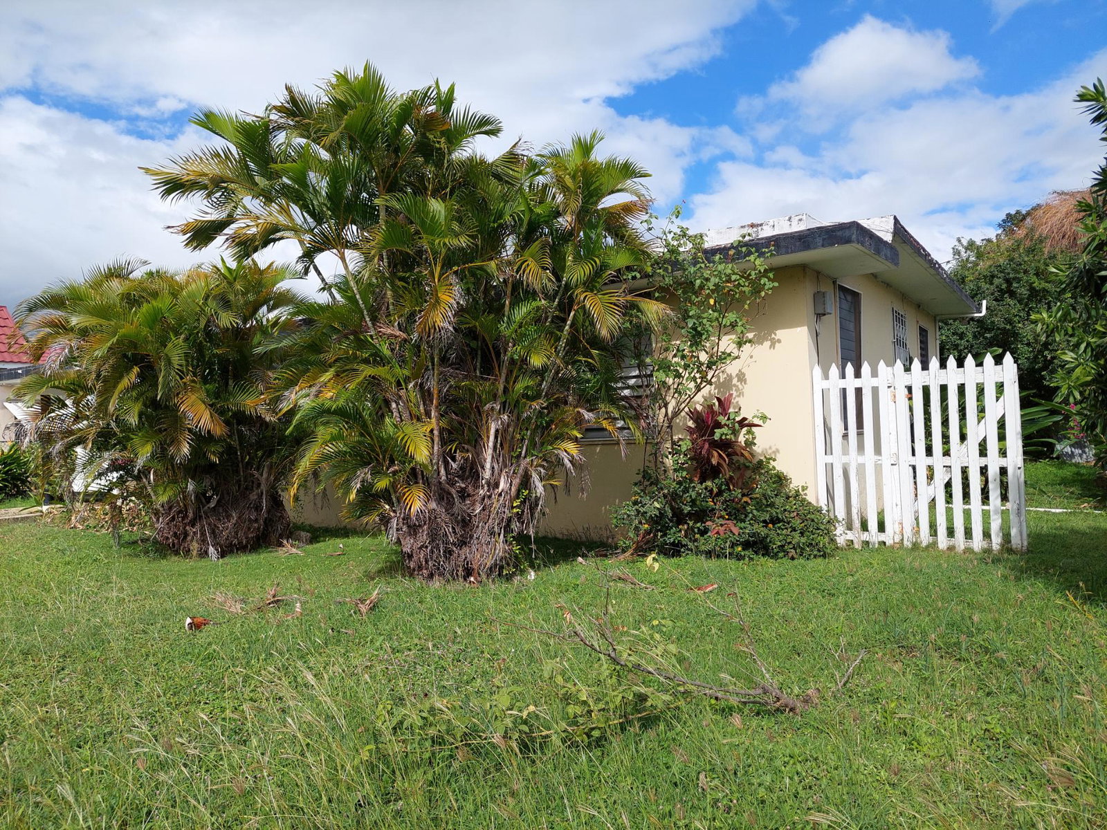 Sixth image of 26 Gardenia Avenue, Mona in Kingston 6, St. Andrew, Jamaica - property is For Sale