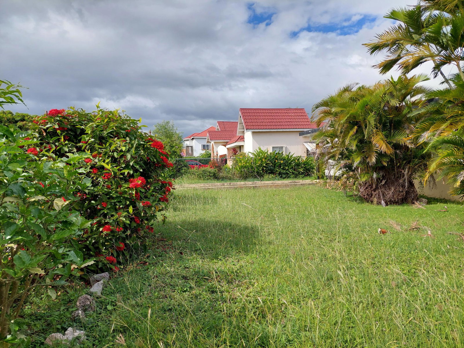 Seventh image of 26 Gardenia Avenue, Mona in Kingston 6, St. Andrew, Jamaica - property is For Sale