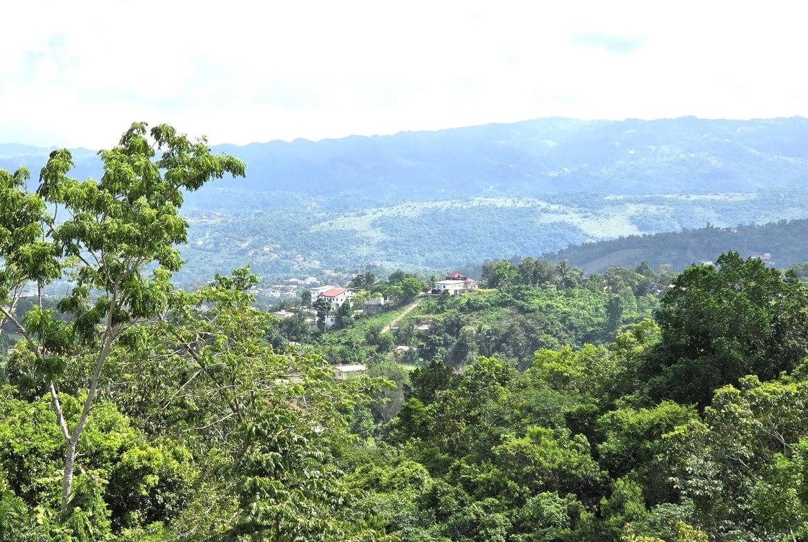 Twenty-Seventh image of Hillview Mews, mt Nelson in Mandeville, Manchester, Jamaica - property is For Sale