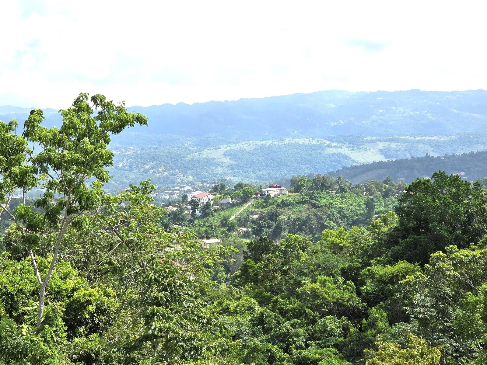 Twenty-Seventh image of Hillview Mews, mt Nelson in Mandeville, Manchester, Jamaica - property is For Sale