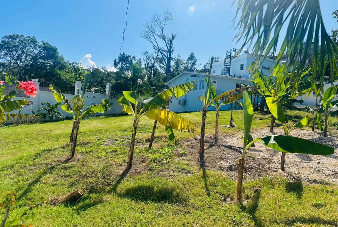 Twelfth image of 66a Cousins Cove in Cousins Cove, Hanover, Jamaica - property is For Sale