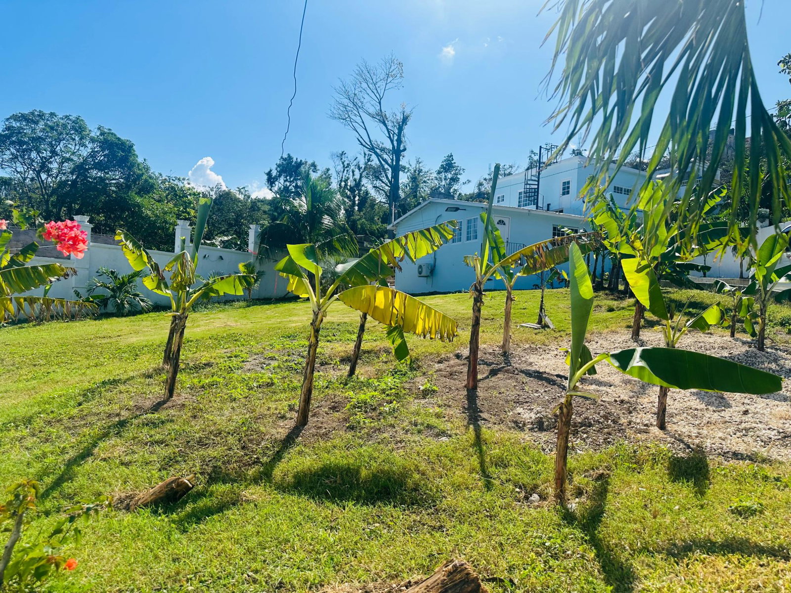 Twelfth image of 66a Cousins Cove in Cousins Cove, Hanover, Jamaica - property is For Sale