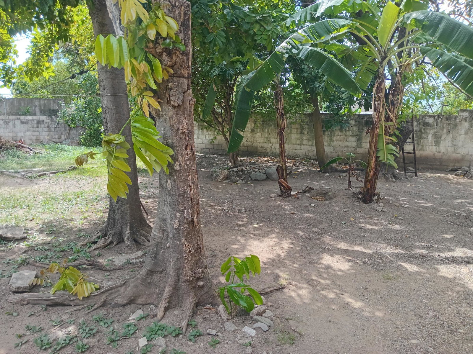 Fifteenth image of Brettford Avenue in Kingston 10, St. Andrew, Jamaica - property is For Sale
