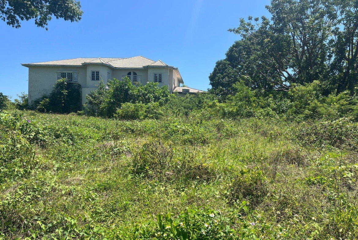 Eleventh image of Lot 47-4 Pitkelleney, Mount Airy, in White House WD, Westmoreland, Jamaica - property is For Sale
