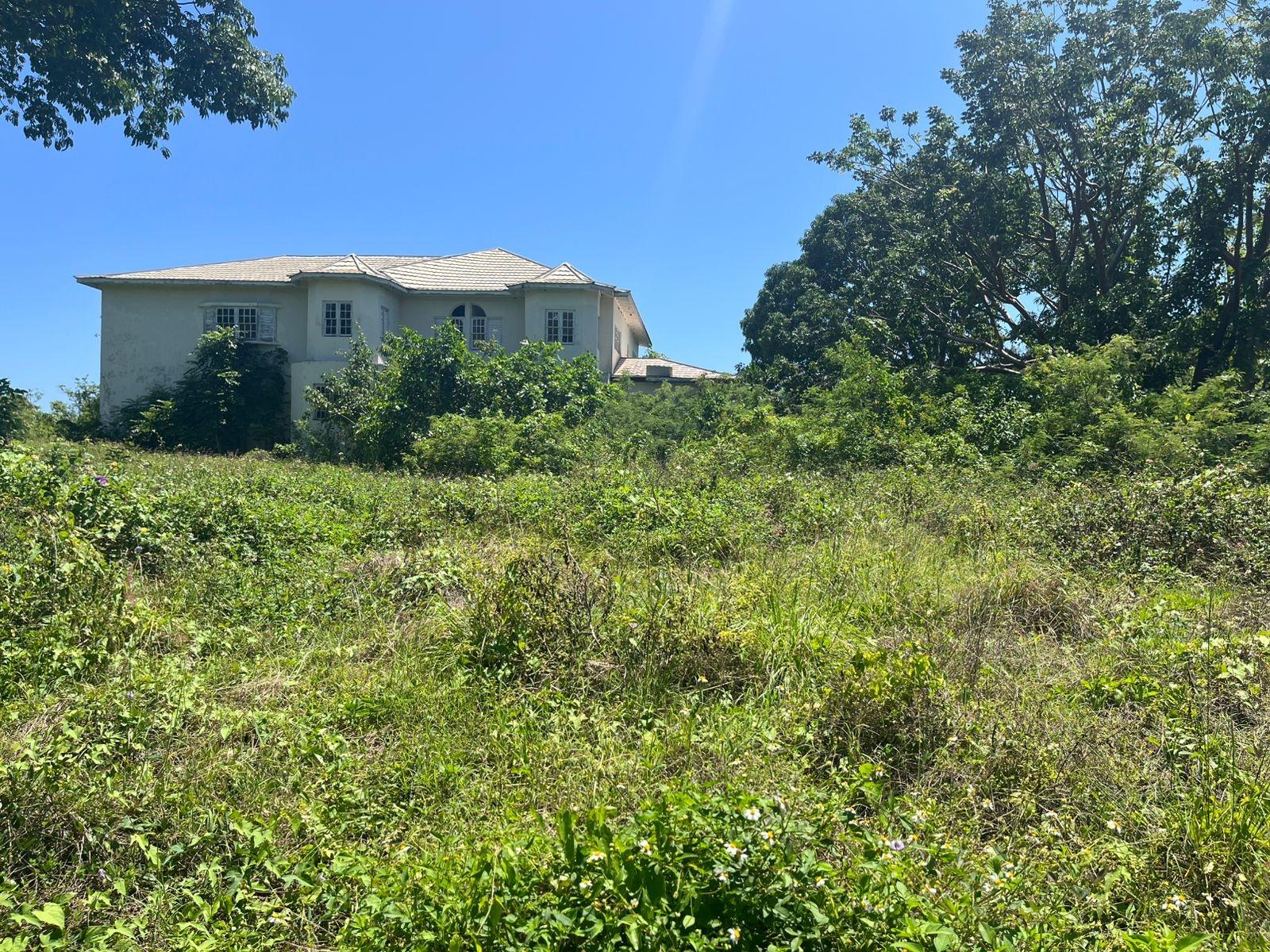 Eleventh image of Lot 47-4 Pitkelleney, Mount Airy, in White House WD, Westmoreland, Jamaica - property is For Sale