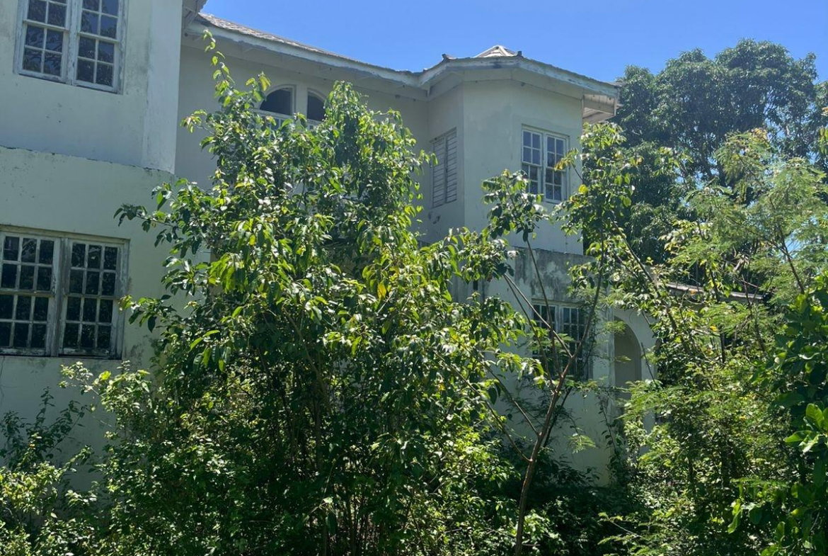 Twelfth image of Lot 47-4 Pitkelleney, Mount Airy, in White House WD, Westmoreland, Jamaica - property is For Sale