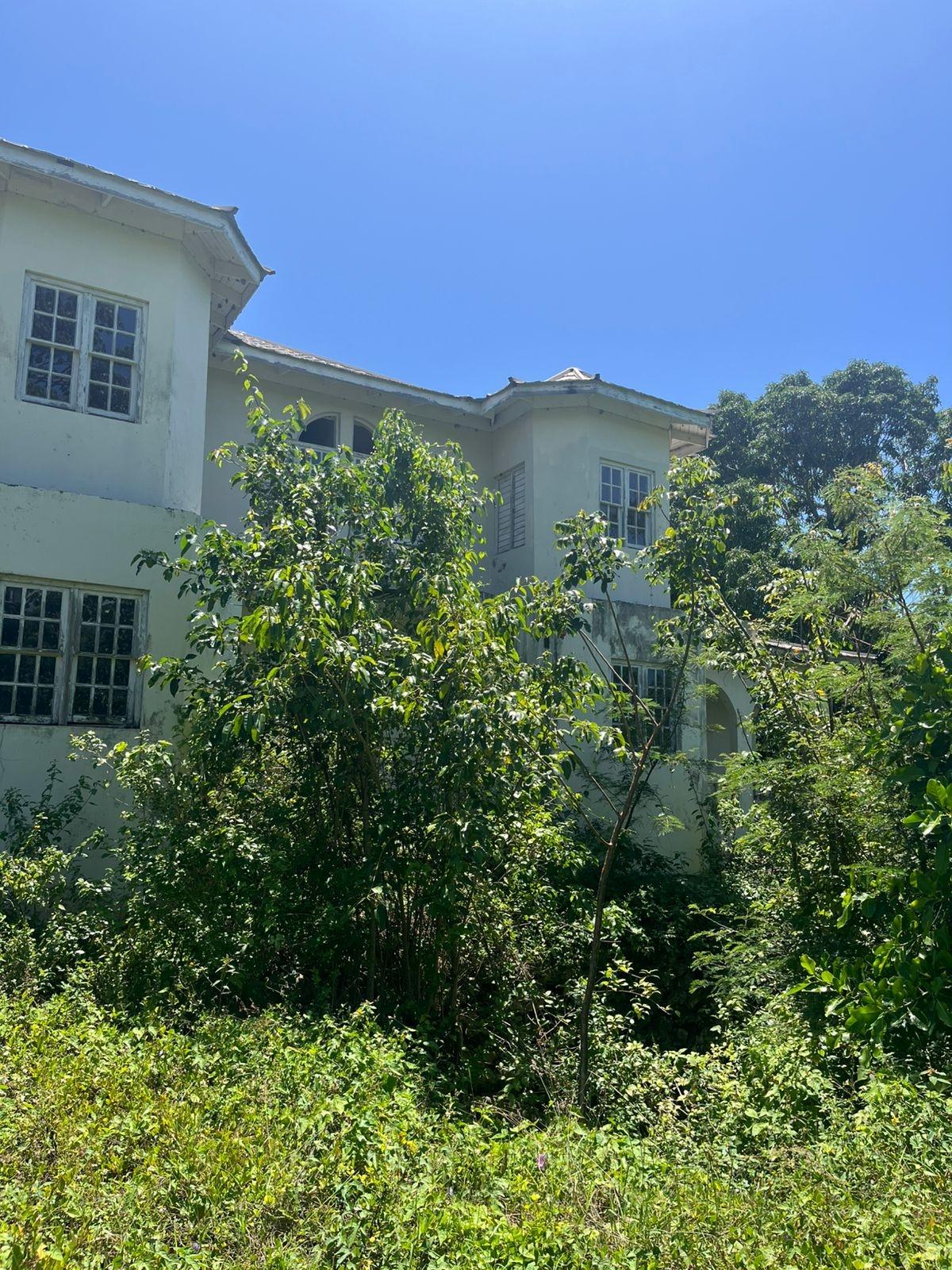 Twelfth image of Lot 47-4 Pitkelleney, Mount Airy, in White House WD, Westmoreland, Jamaica - property is For Sale