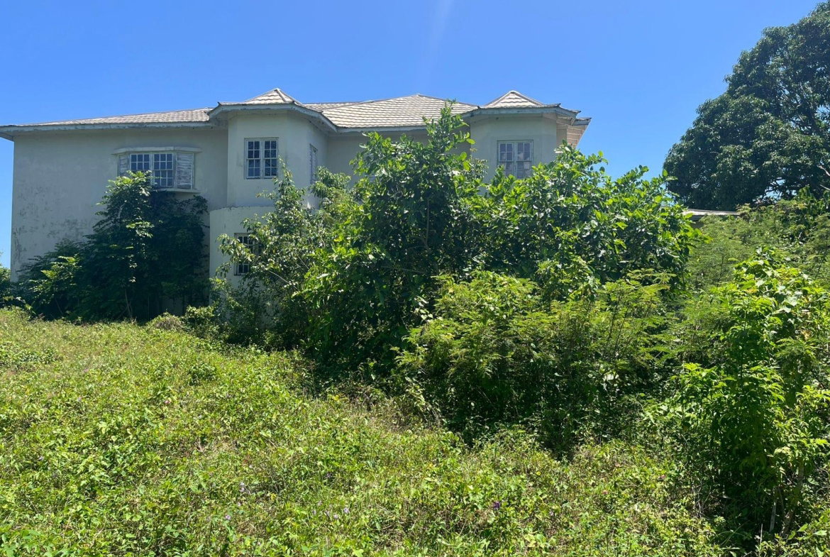Thirteenth image of Lot 47-4 Pitkelleney, Mount Airy, in White House WD, Westmoreland, Jamaica - property is For Sale