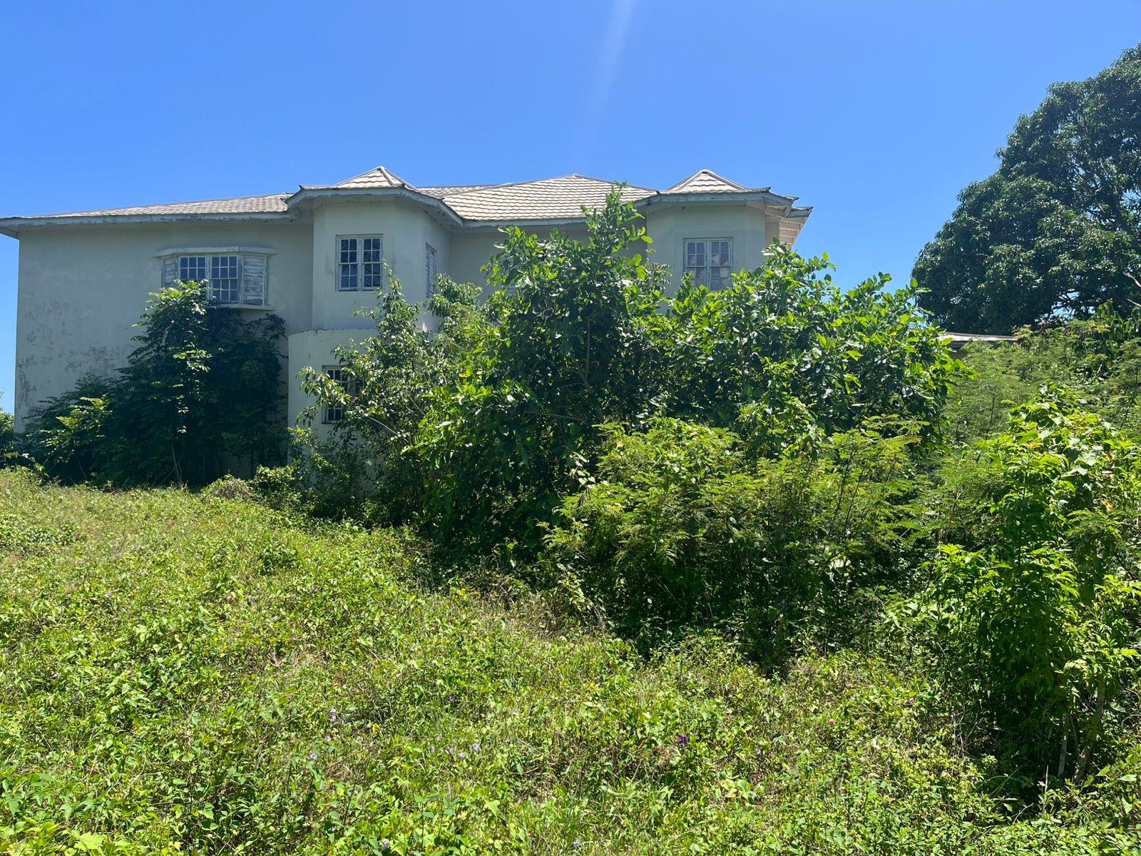 Thirteenth image of Lot 47-4 Pitkelleney, Mount Airy, in White House WD, Westmoreland, Jamaica - property is For Sale