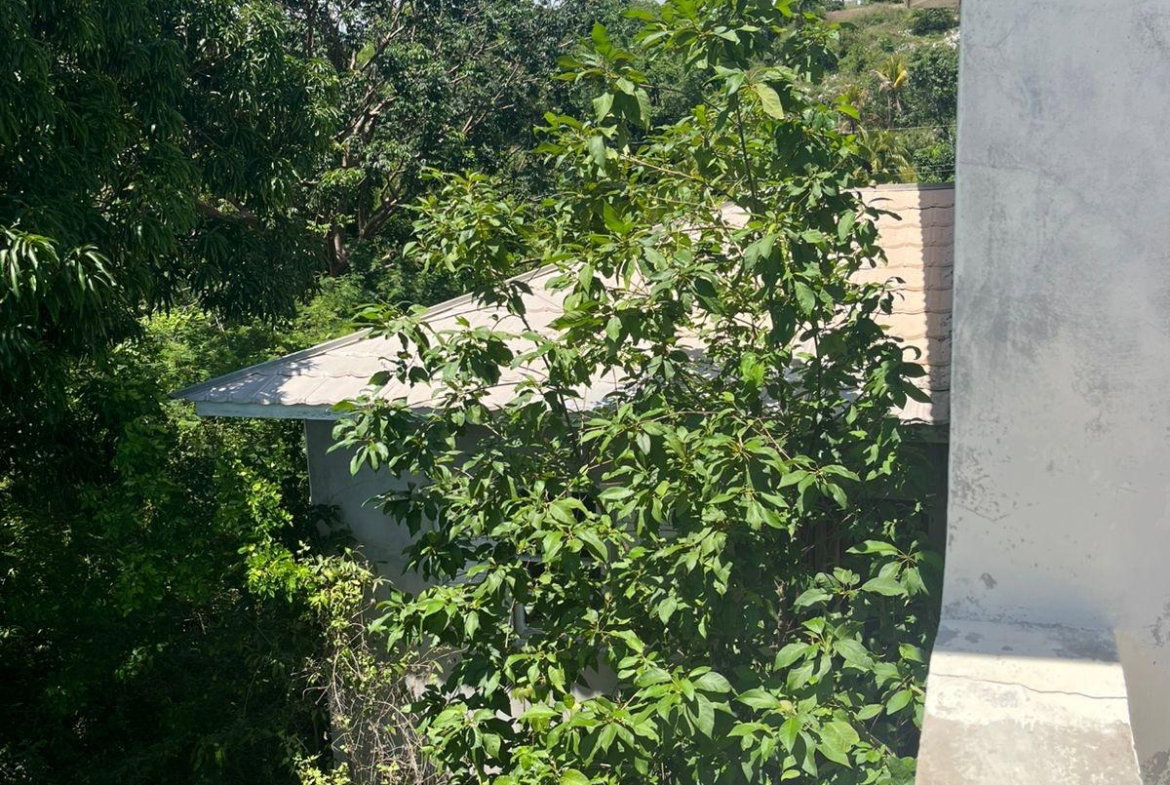 Sixteenth image of Lot 47-4 Pitkelleney, Mount Airy, in White House WD, Westmoreland, Jamaica - property is For Sale