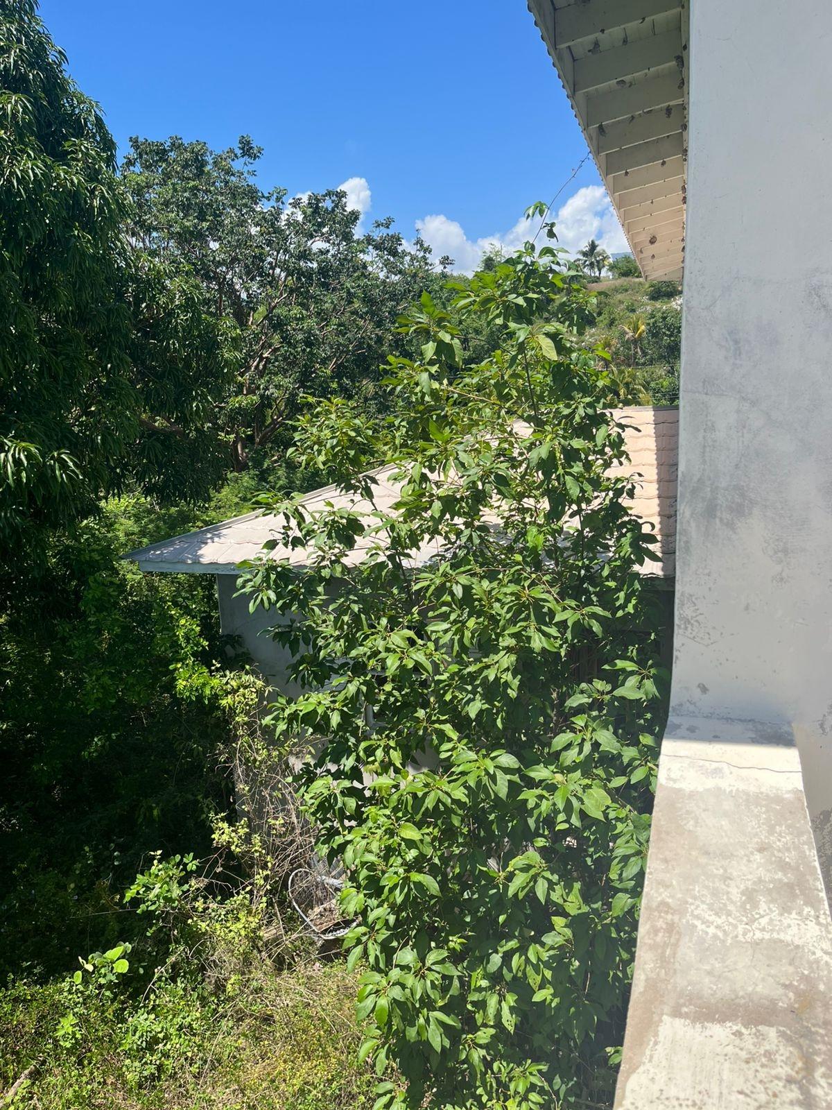 Sixteenth image of Lot 47-4 Pitkelleney, Mount Airy, in White House WD, Westmoreland, Jamaica - property is For Sale