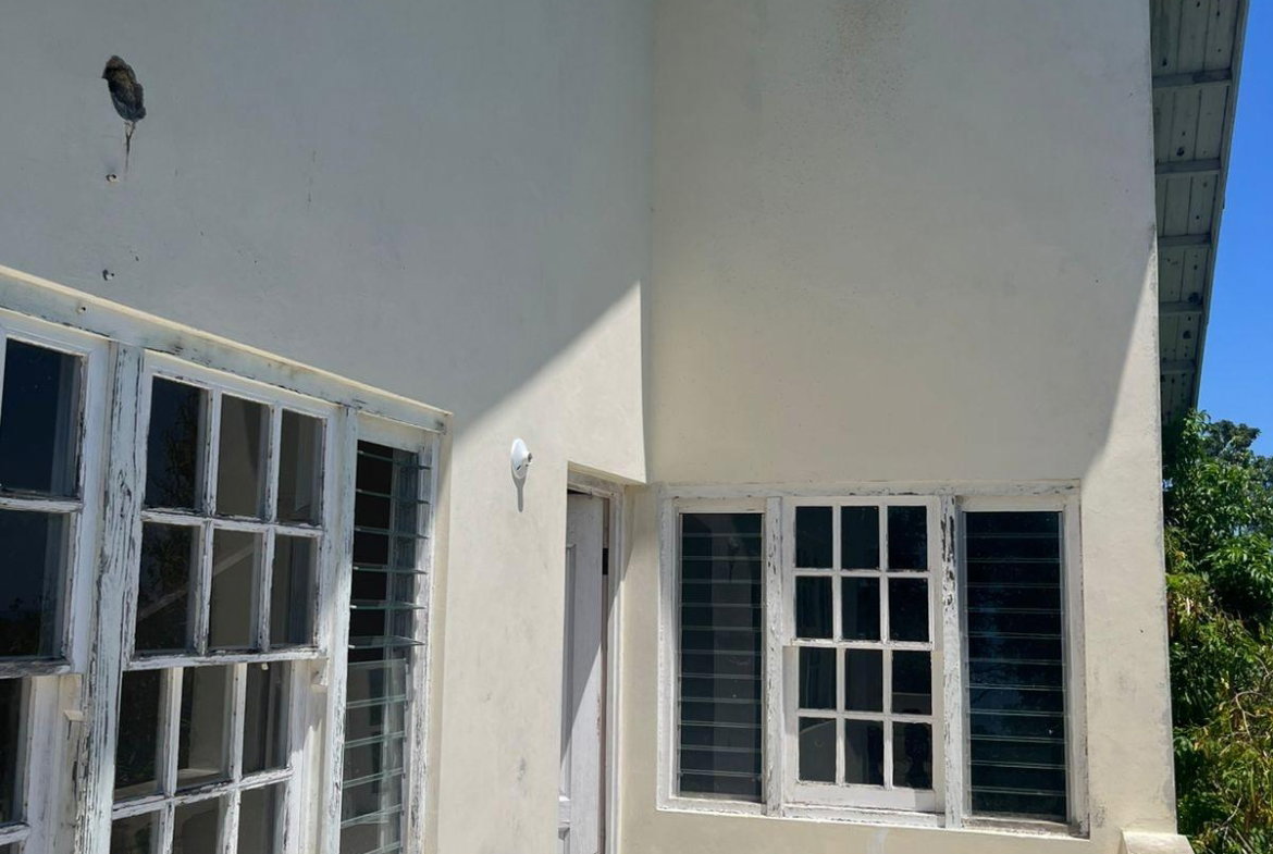 Eighteenth image of Lot 47-4 Pitkelleney, Mount Airy, in White House WD, Westmoreland, Jamaica - property is For Sale
