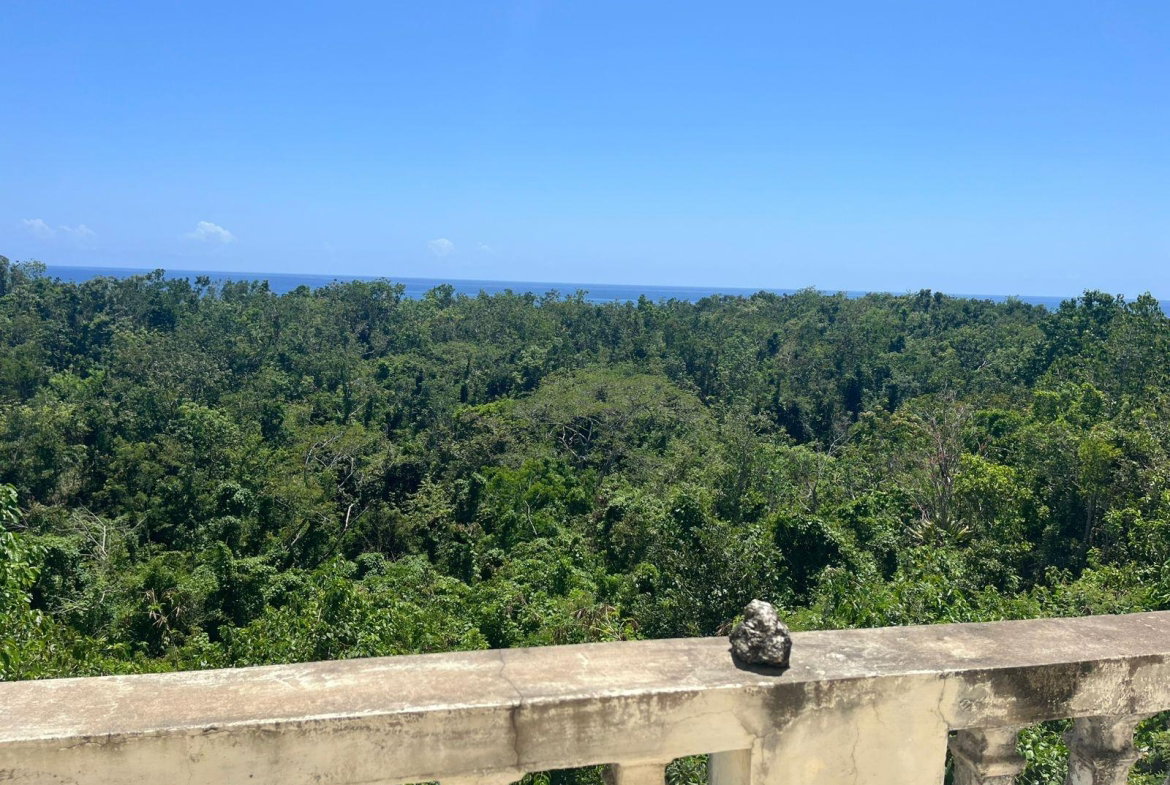 Nineteenth image of Lot 47-4 Pitkelleney, Mount Airy, in White House WD, Westmoreland, Jamaica - property is For Sale