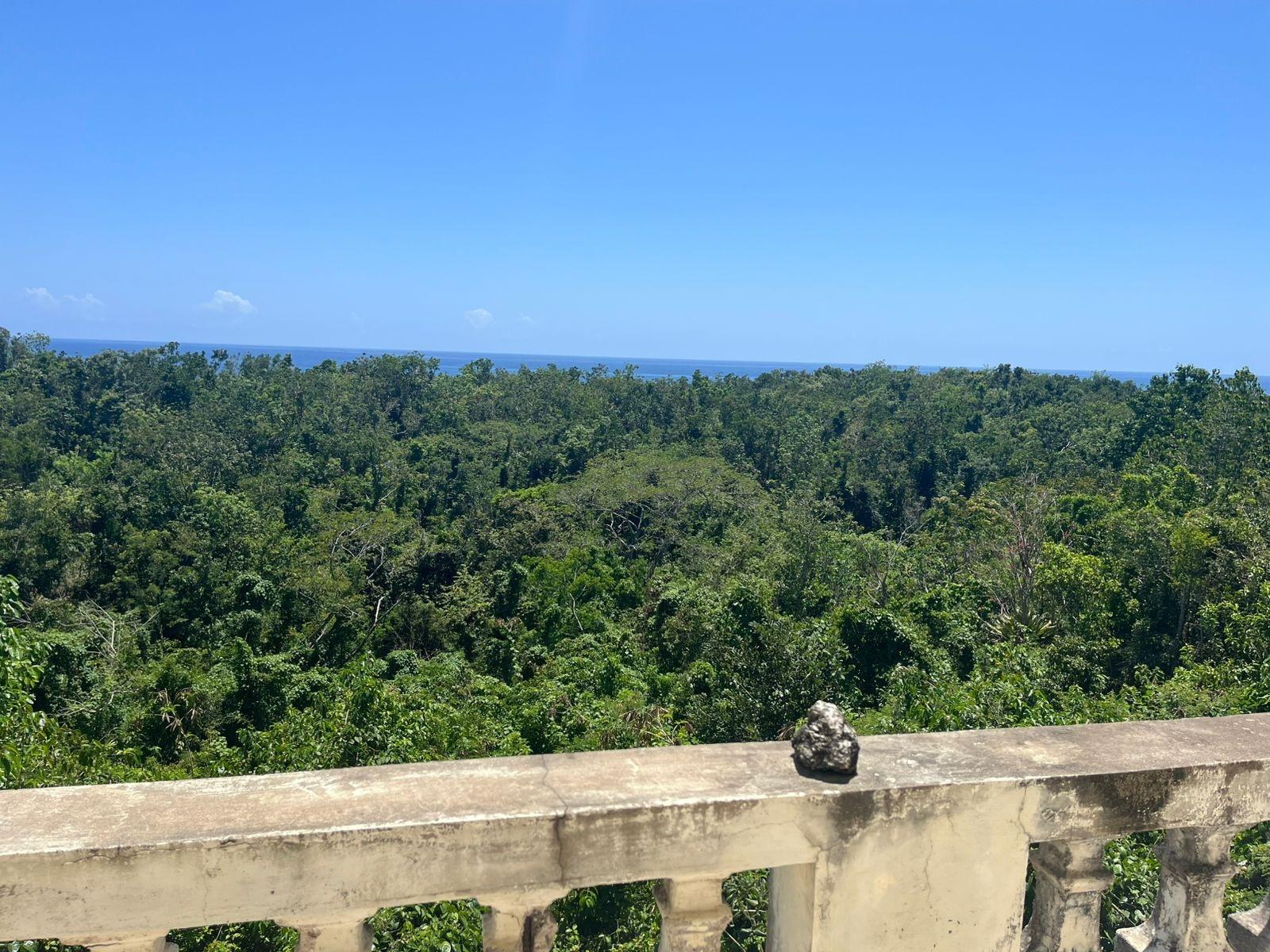 Nineteenth image of Lot 47-4 Pitkelleney, Mount Airy, in White House WD, Westmoreland, Jamaica - property is For Sale