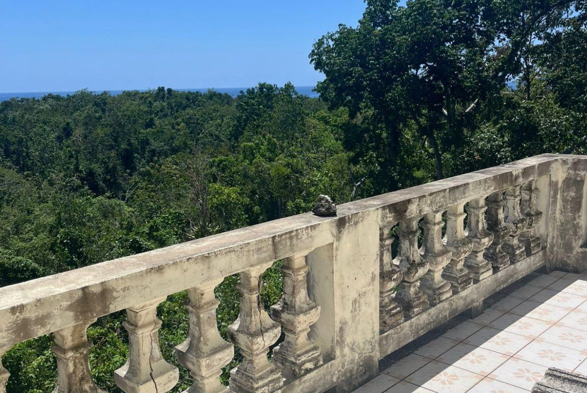 Twentieth image of Lot 47-4 Pitkelleney, Mount Airy, in White House WD, Westmoreland, Jamaica - property is For Sale