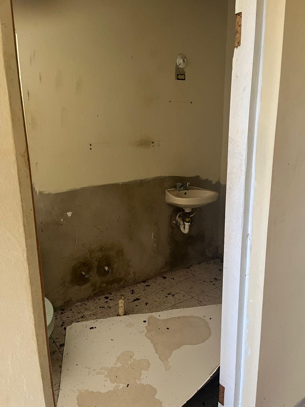 Twenty-Fourth image of Lot 47-4 Pitkelleney, Mount Airy, in White House WD, Westmoreland, Jamaica - property is For Sale