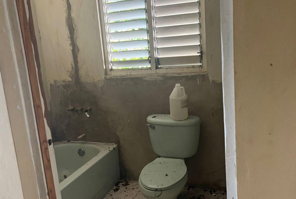 Twenty-Fifth image of Lot 47-4 Pitkelleney, Mount Airy, in White House WD, Westmoreland, Jamaica - property is For Sale