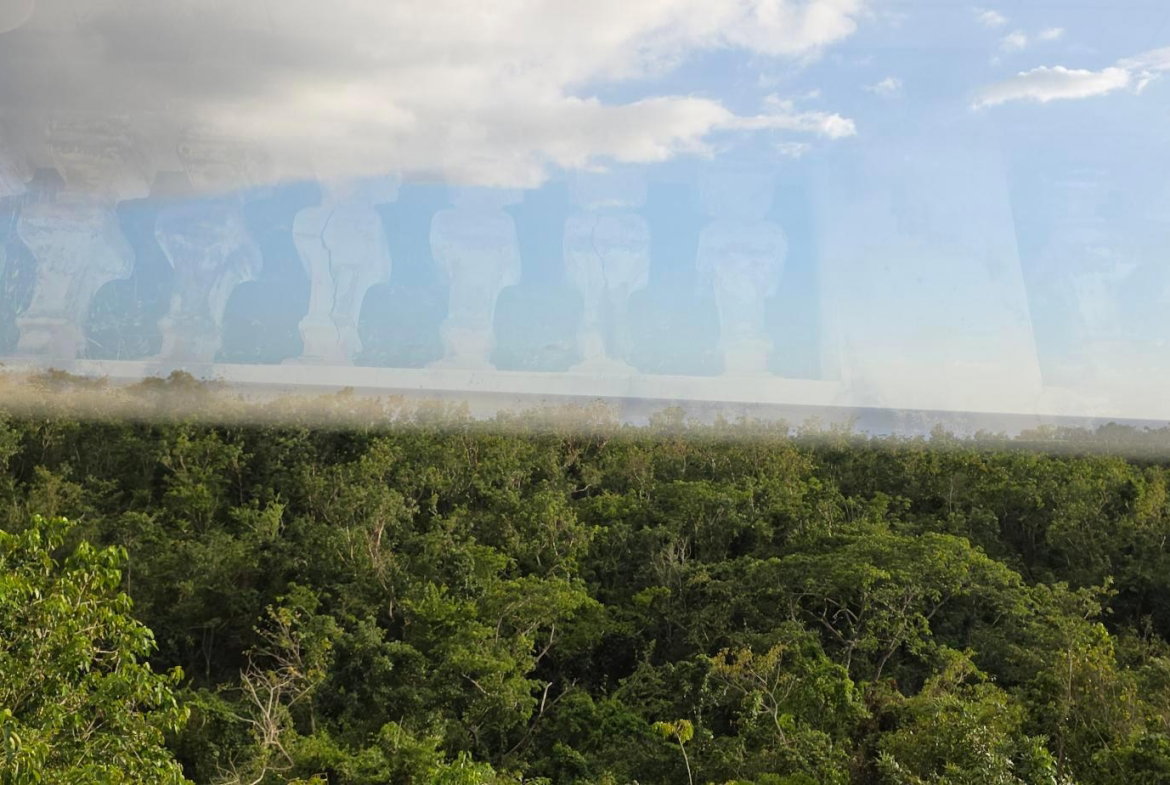 Sixth image of Lot 47-4 Pitkelleney, Mount Airy, in White House WD, Westmoreland, Jamaica - property is For Sale