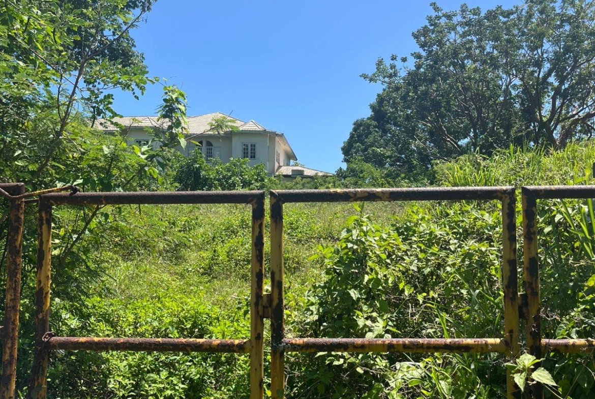 Tenth image of Lot 47-4 Pitkelleney, Mount Airy, in White House WD, Westmoreland, Jamaica - property is For Sale
