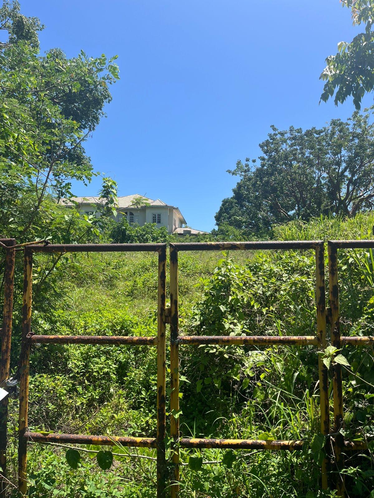 Tenth image of Lot 47-4 Pitkelleney, Mount Airy, in White House WD, Westmoreland, Jamaica - property is For Sale