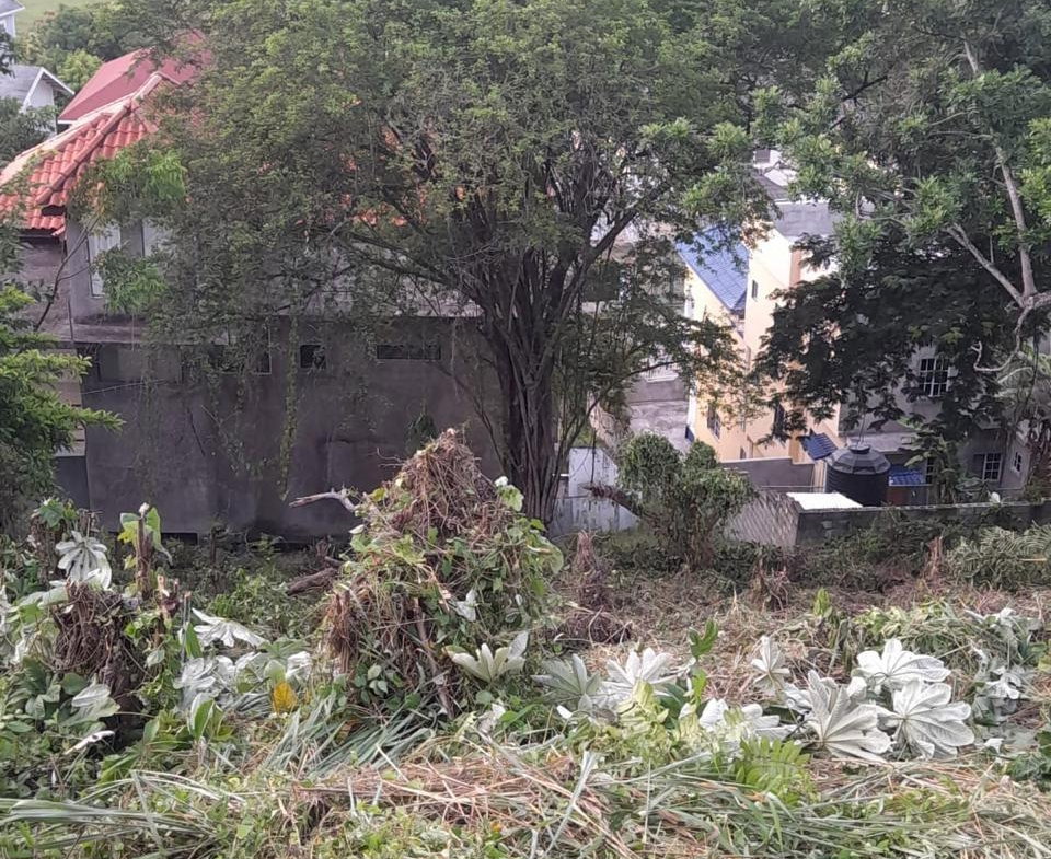 Eleventh image of Vista Del Mar, Genova dr in Ocho Rios, St. Ann, Jamaica - property is For Sale