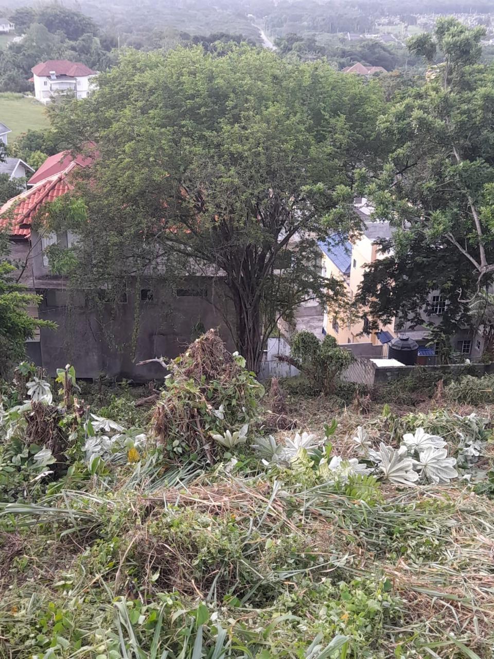 Eleventh image of Vista Del Mar, Genova dr in Ocho Rios, St. Ann, Jamaica - property is For Sale