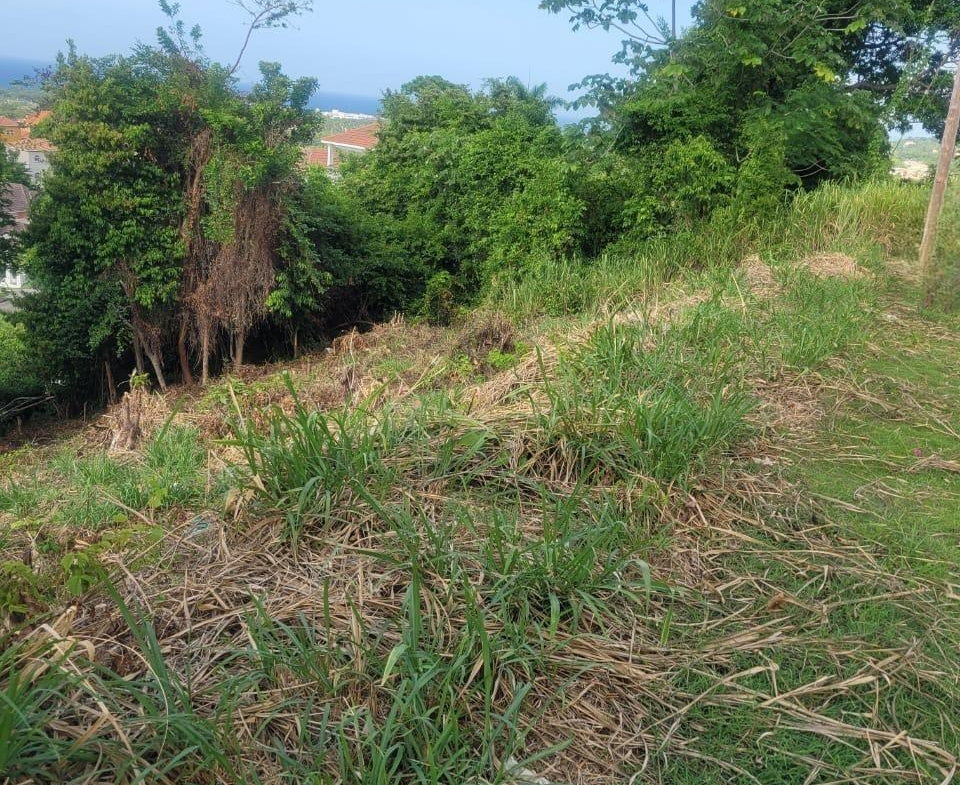 Thirteenth image of Vista Del Mar, Genova dr in Ocho Rios, St. Ann, Jamaica - property is For Sale